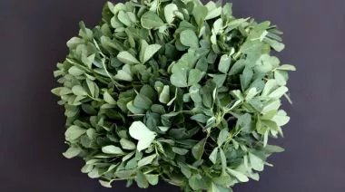 garnishing-instructions-image